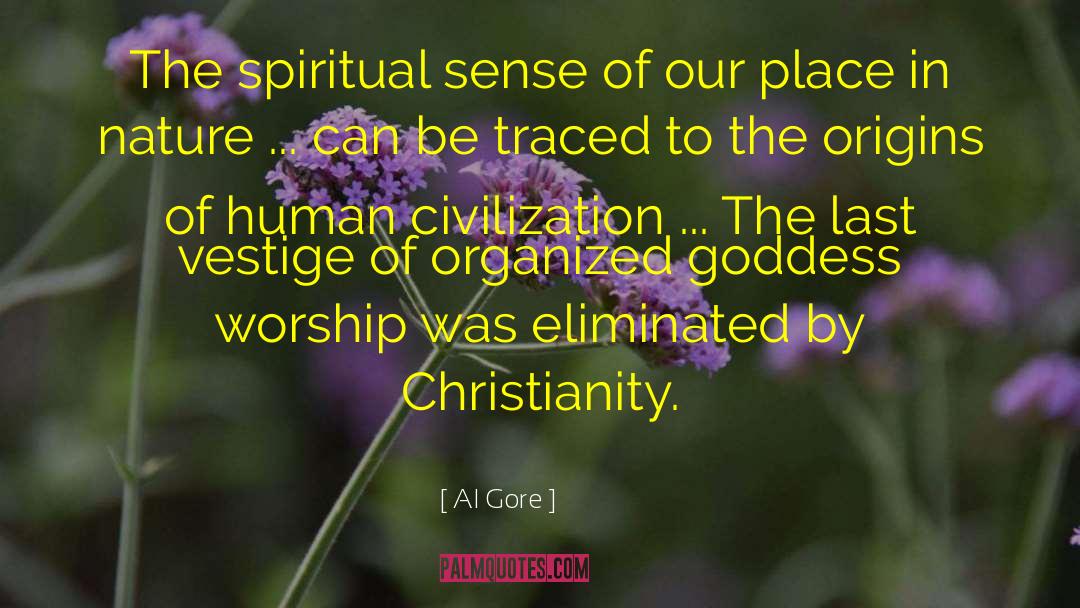 Spiritual Sense quotes by Al Gore
