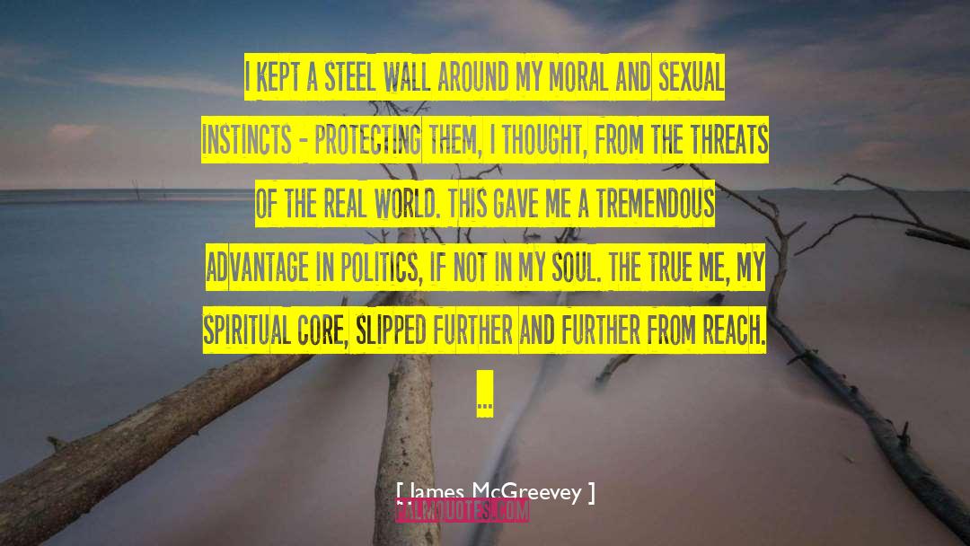 Spiritual Soul quotes by James McGreevey