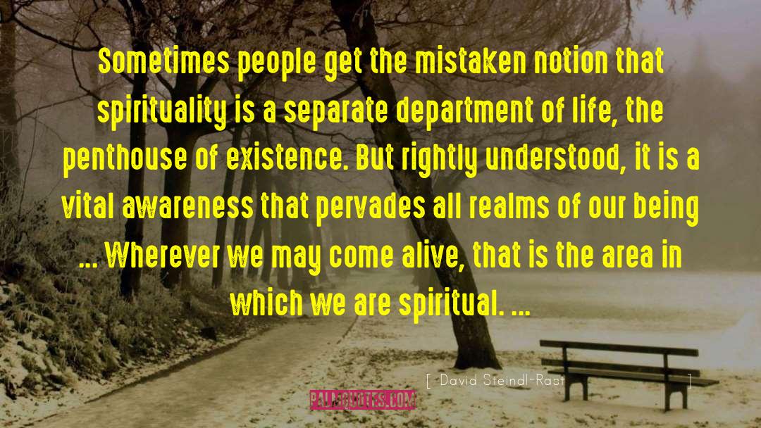 Spiritual Spirituality quotes by David Steindl-Rast