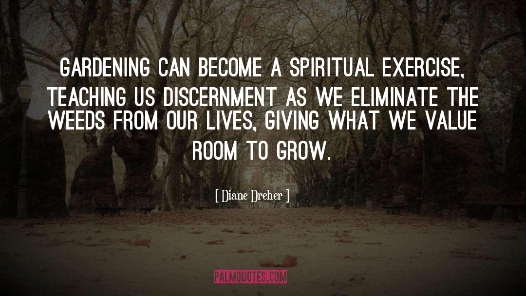 Spiritual Teaching quotes by Diane Dreher