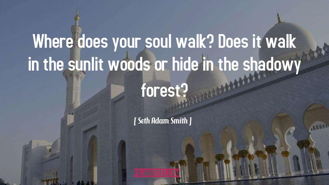 Spiritual Walk quotes by Seth Adam Smith