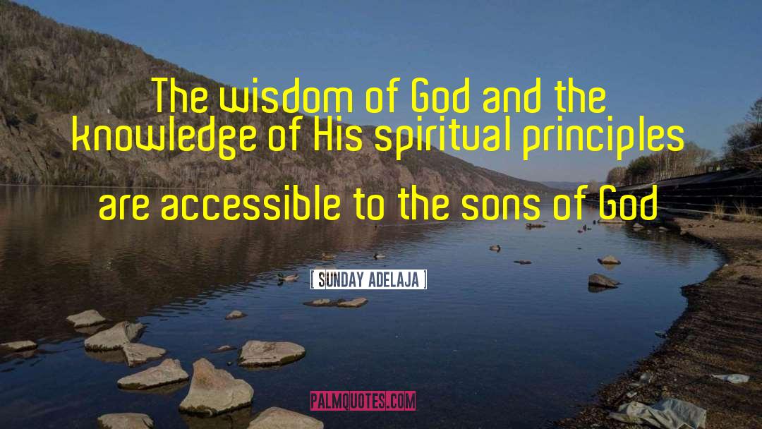 Spiritual Wealth quotes by Sunday Adelaja