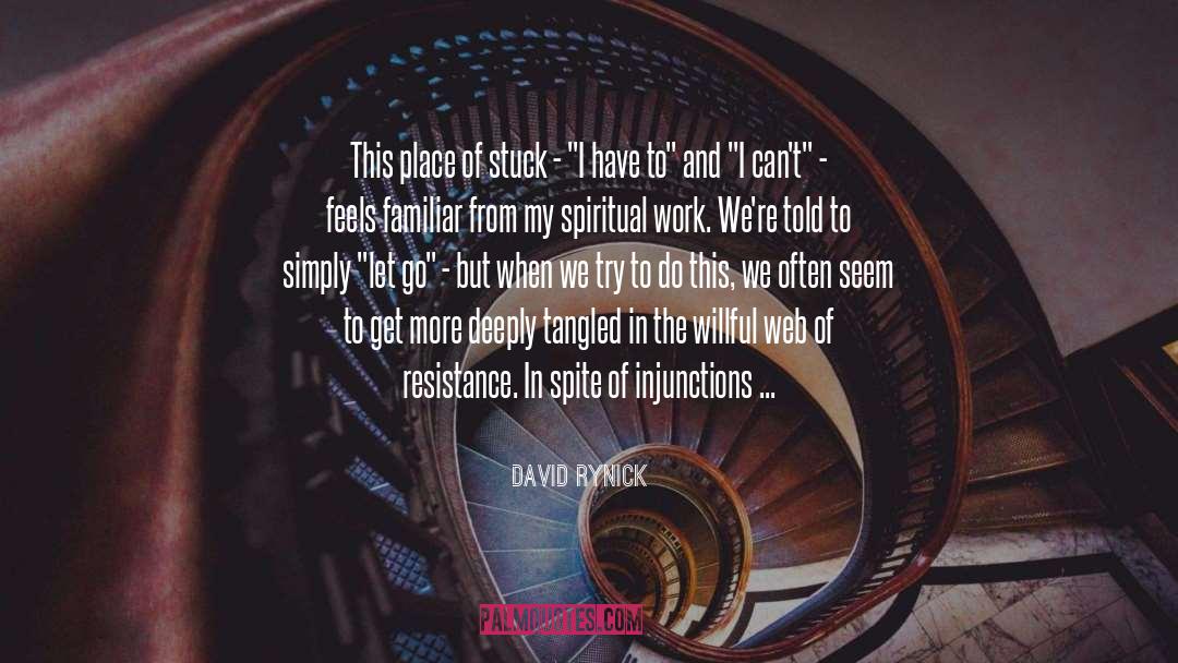 Spiritual Work quotes by David Rynick