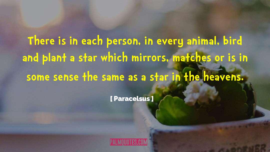 Spirtual quotes by Paracelsus