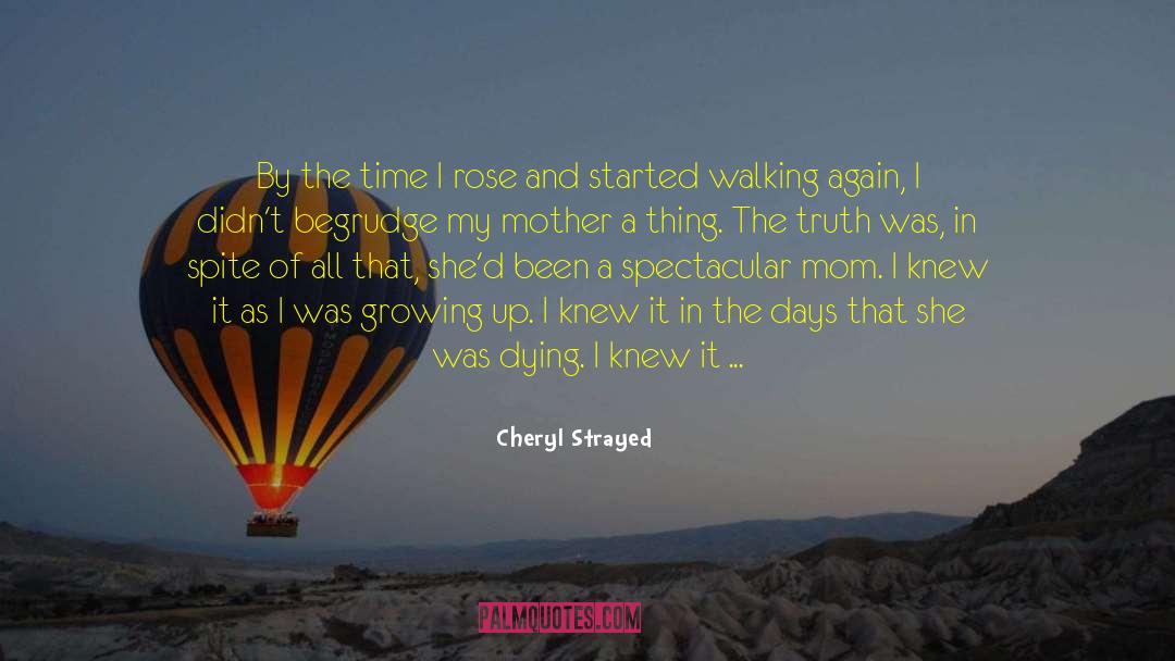 Spite And Love quotes by Cheryl Strayed