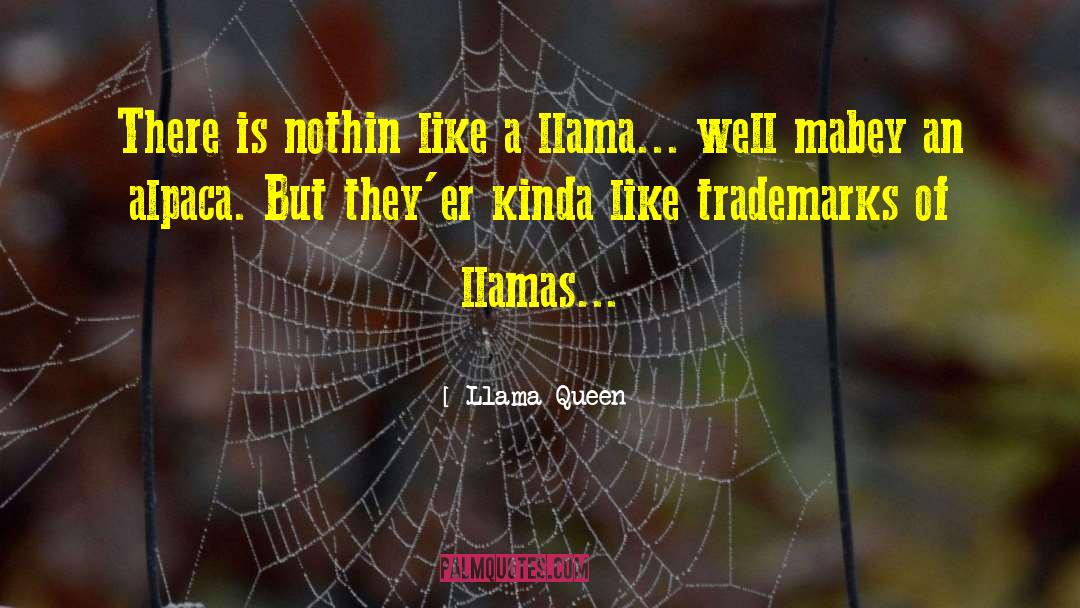 Spitzy The Llama quotes by Llama Queen