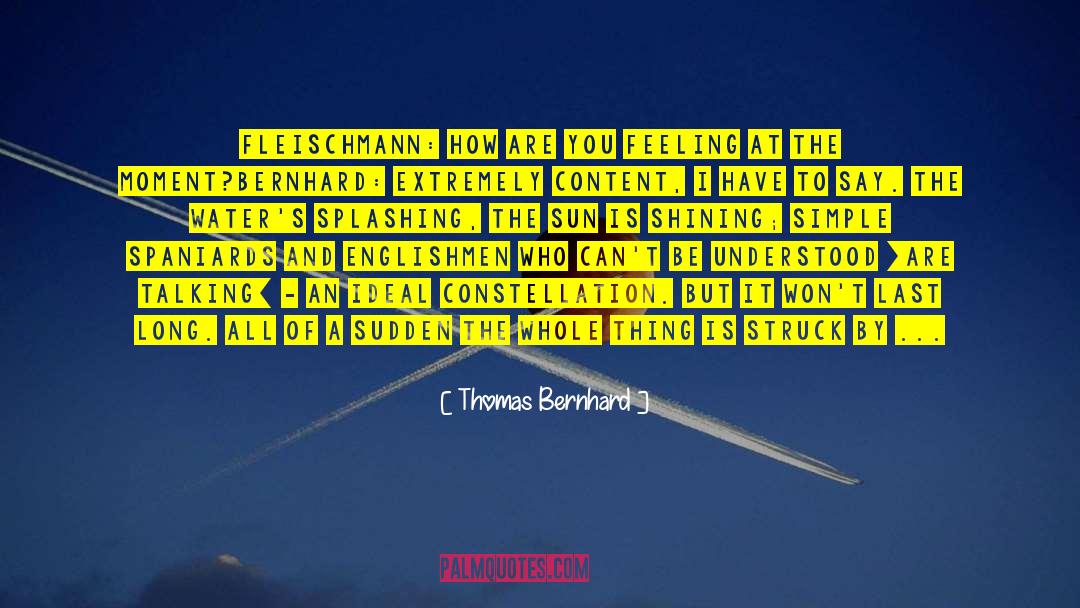 Splashing quotes by Thomas Bernhard