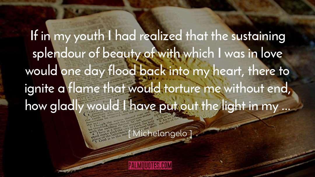 Splendour quotes by Michelangelo
