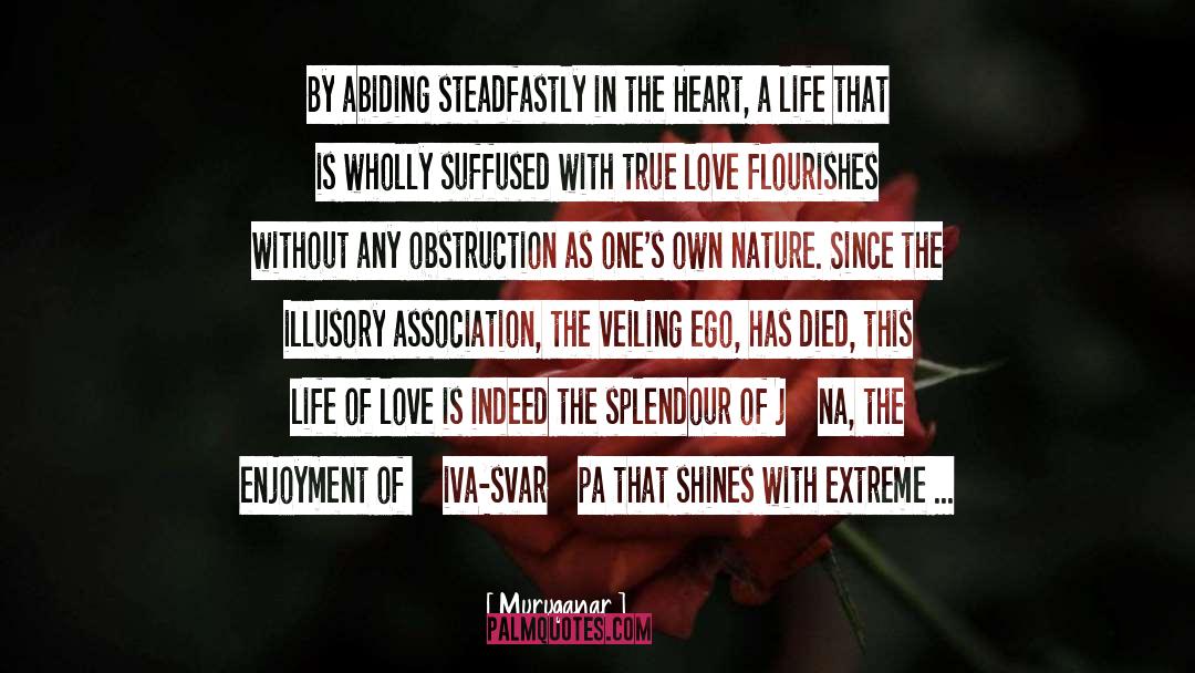 Splendour quotes by Muruganar