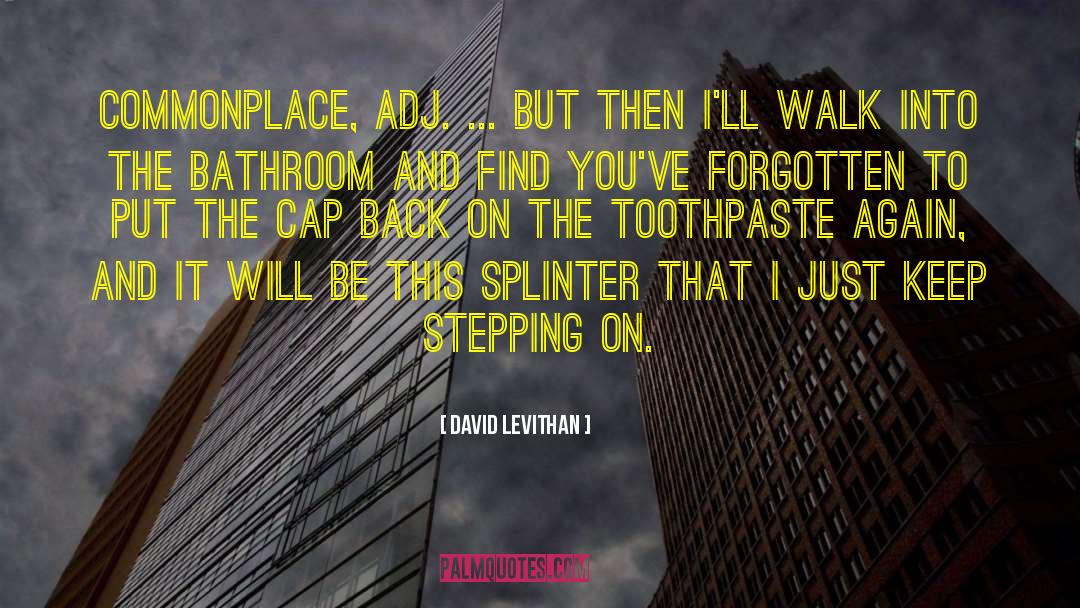 Splinter quotes by David Levithan