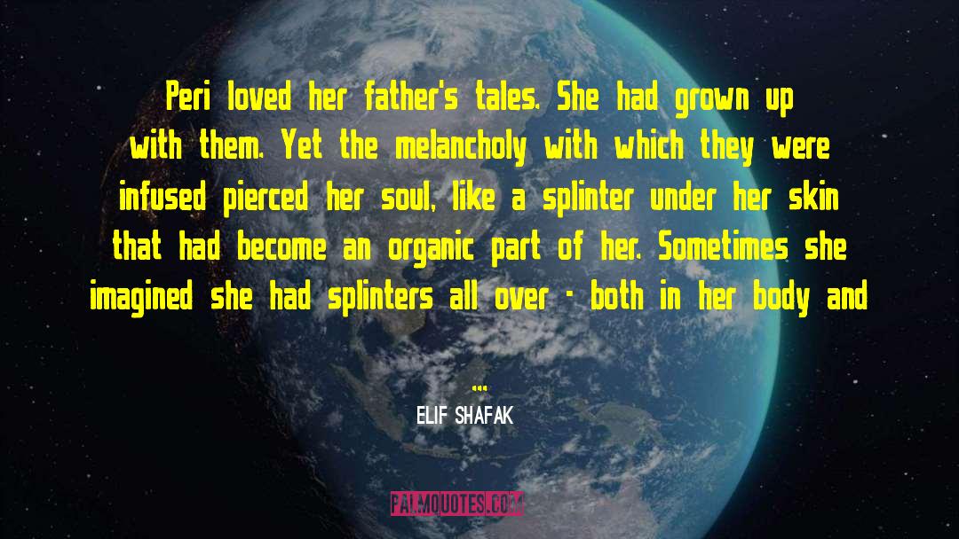 Splinter quotes by Elif Shafak