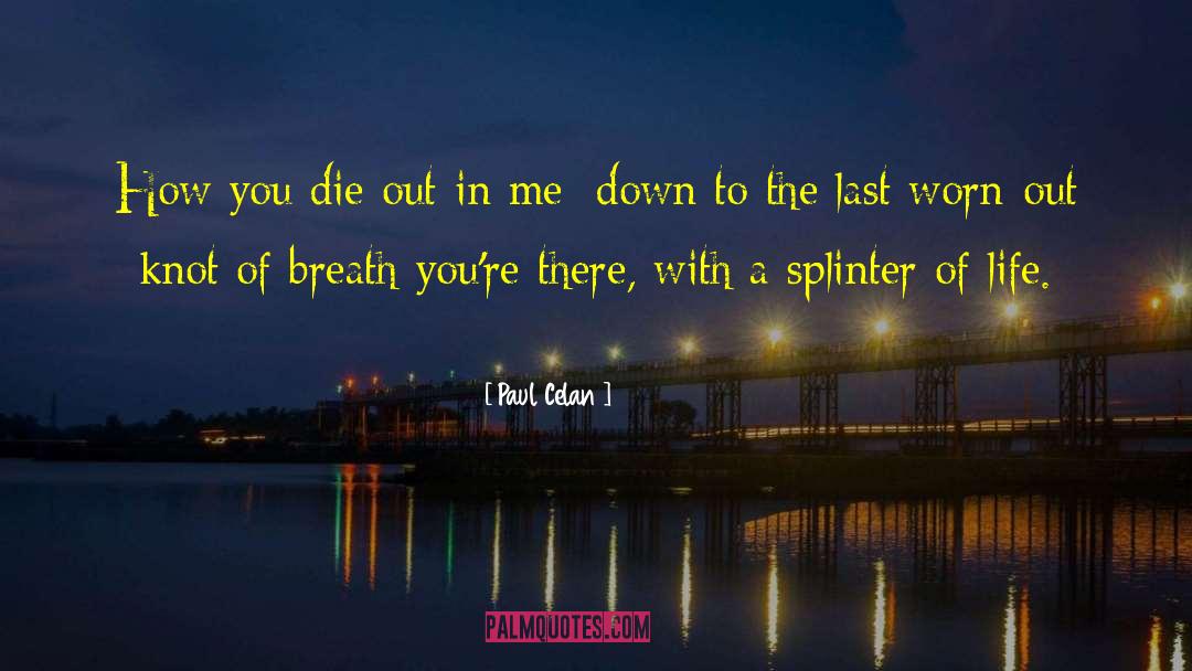 Splinter quotes by Paul Celan