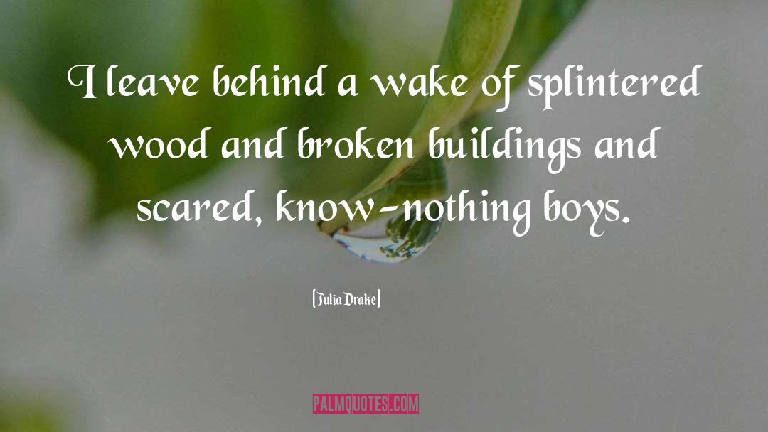 Splintered quotes by Julia Drake