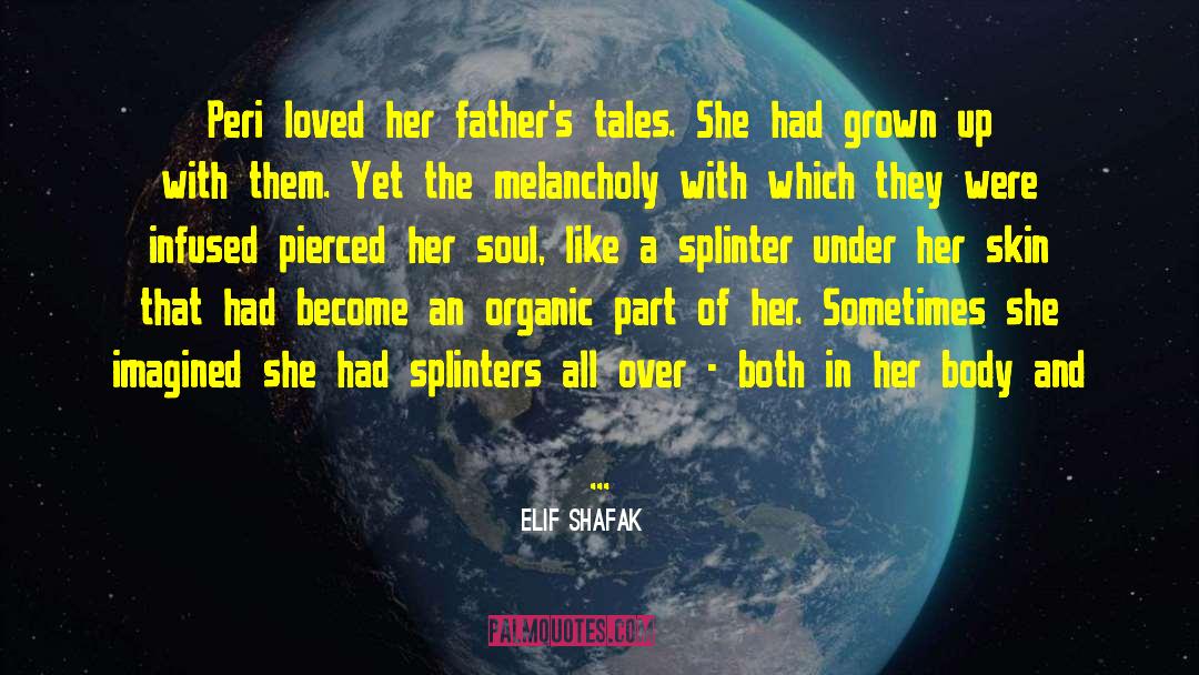 Splinters quotes by Elif Shafak
