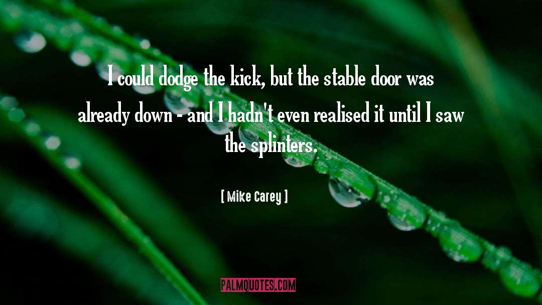 Splinters quotes by Mike Carey