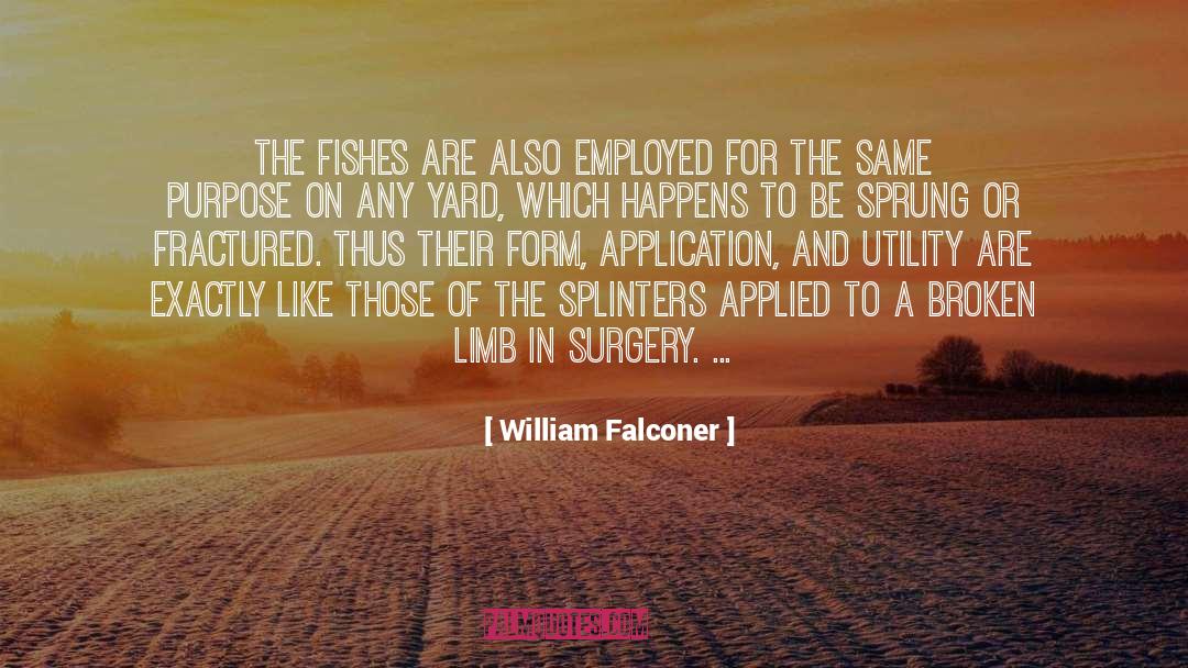 Splinters quotes by William Falconer