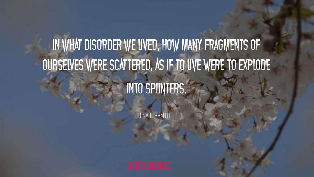 Splinters quotes by Elena Ferrante