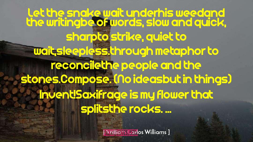 Splits quotes by William Carlos Williams
