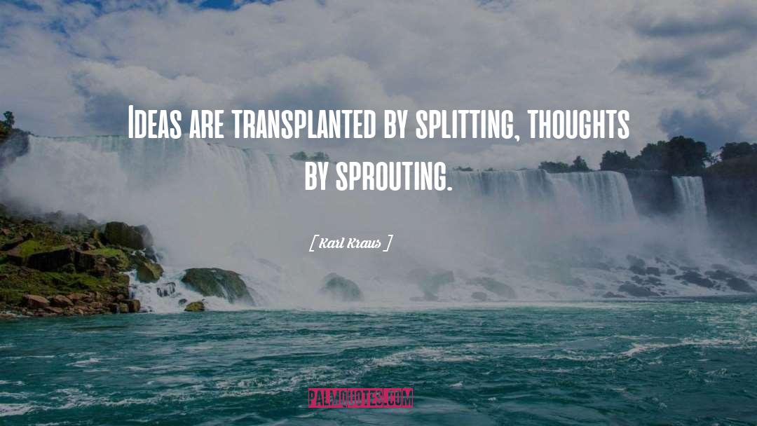 Splitting quotes by Karl Kraus