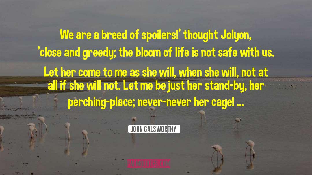 Spoilers quotes by John Galsworthy
