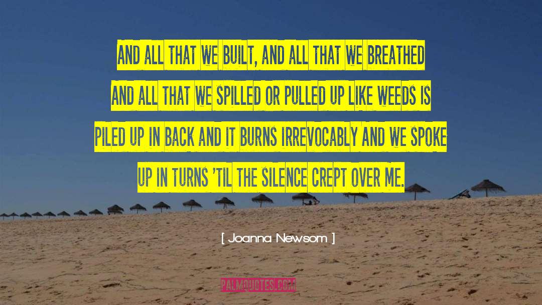 Spoke Up quotes by Joanna Newsom