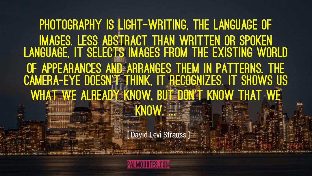 Spoken Language quotes by David Levi Strauss