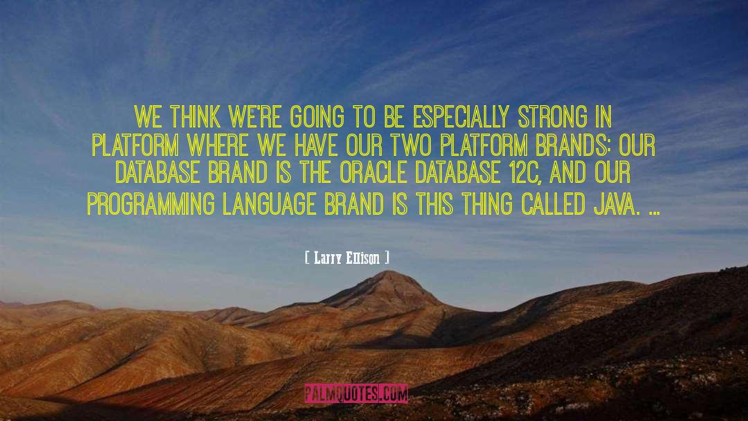 Spoken Language quotes by Larry Ellison