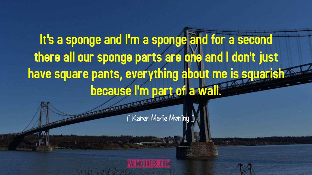 Sponge Doodle quotes by Karen Marie Moning