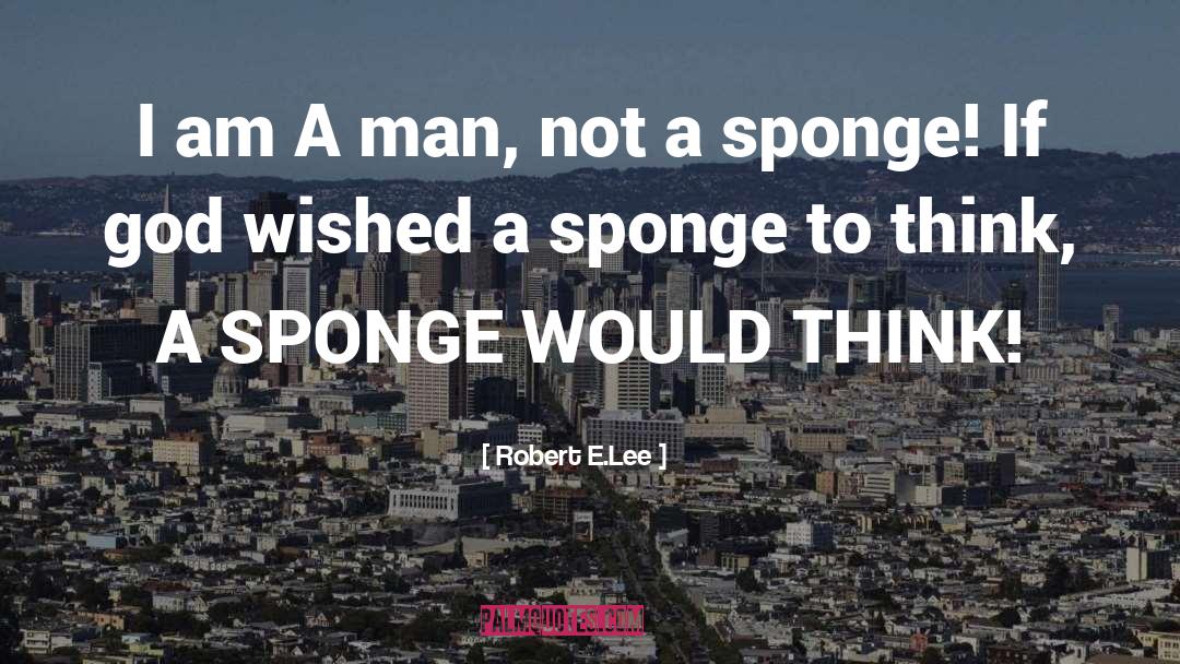 Sponge Doodle quotes by Robert E.Lee