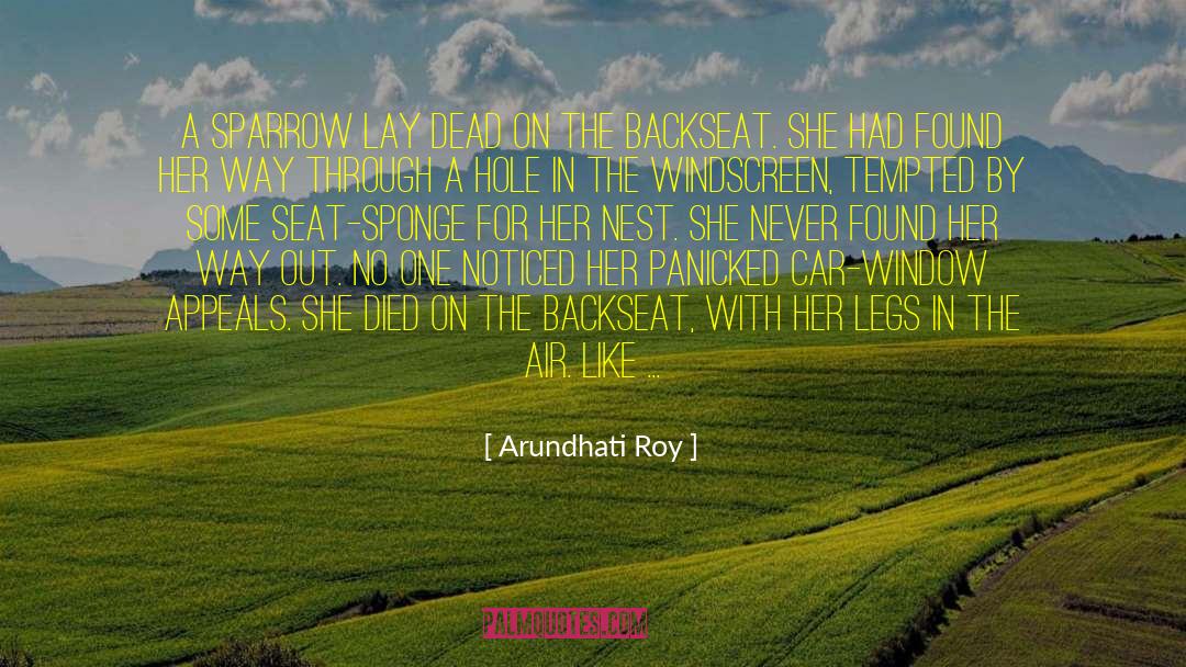 Sponge quotes by Arundhati Roy