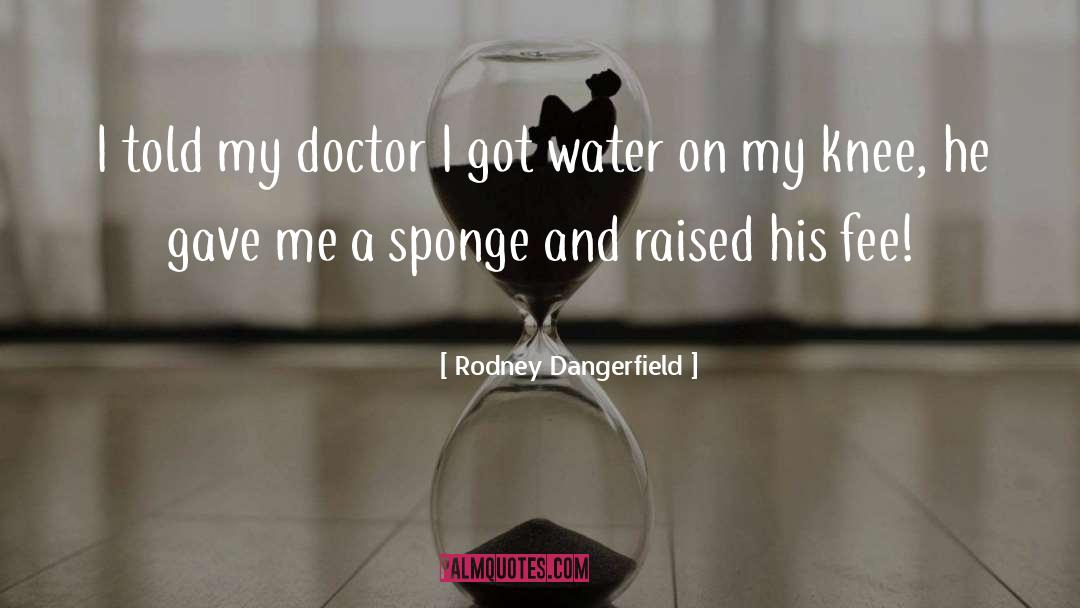 Sponge quotes by Rodney Dangerfield