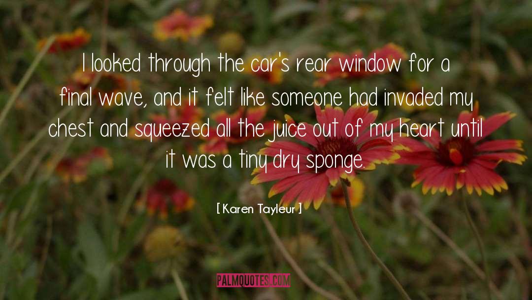 Sponge quotes by Karen Tayleur