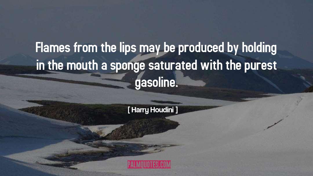 Sponges quotes by Harry Houdini