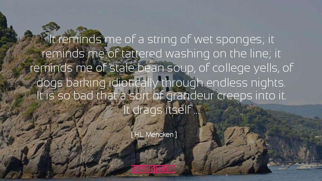 Sponges quotes by H.L. Mencken