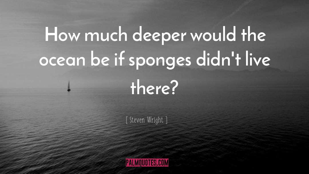 Sponges quotes by Steven Wright