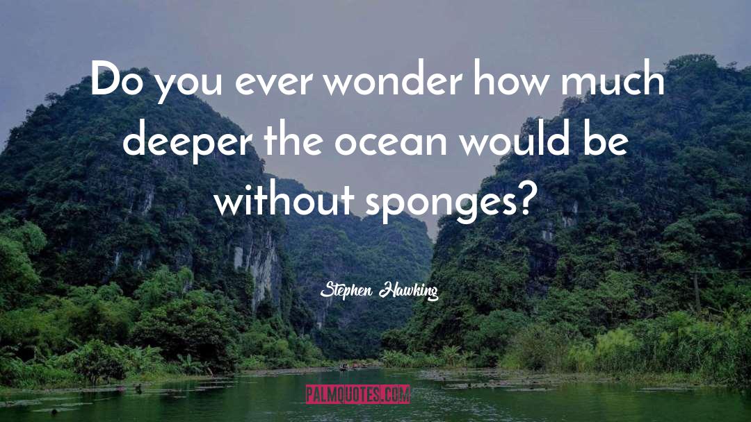 Sponges quotes by Stephen Hawking