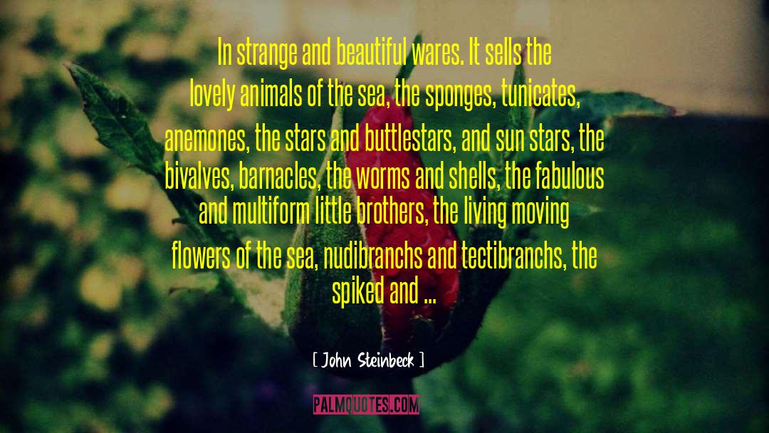 Sponges quotes by John Steinbeck