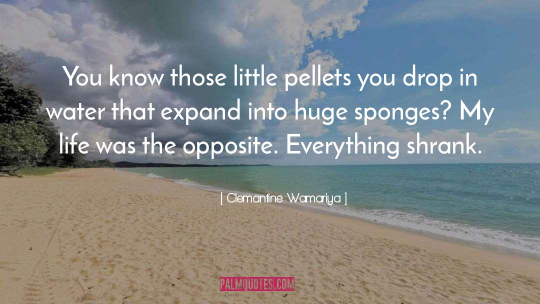 Sponges quotes by Clemantine Wamariya