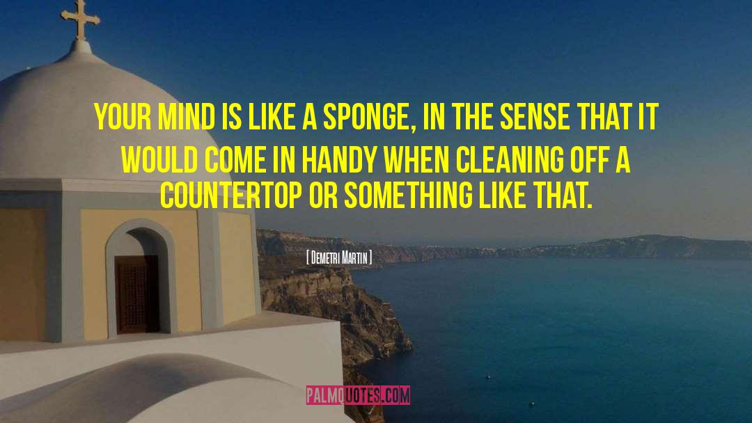 Sponges quotes by Demetri Martin