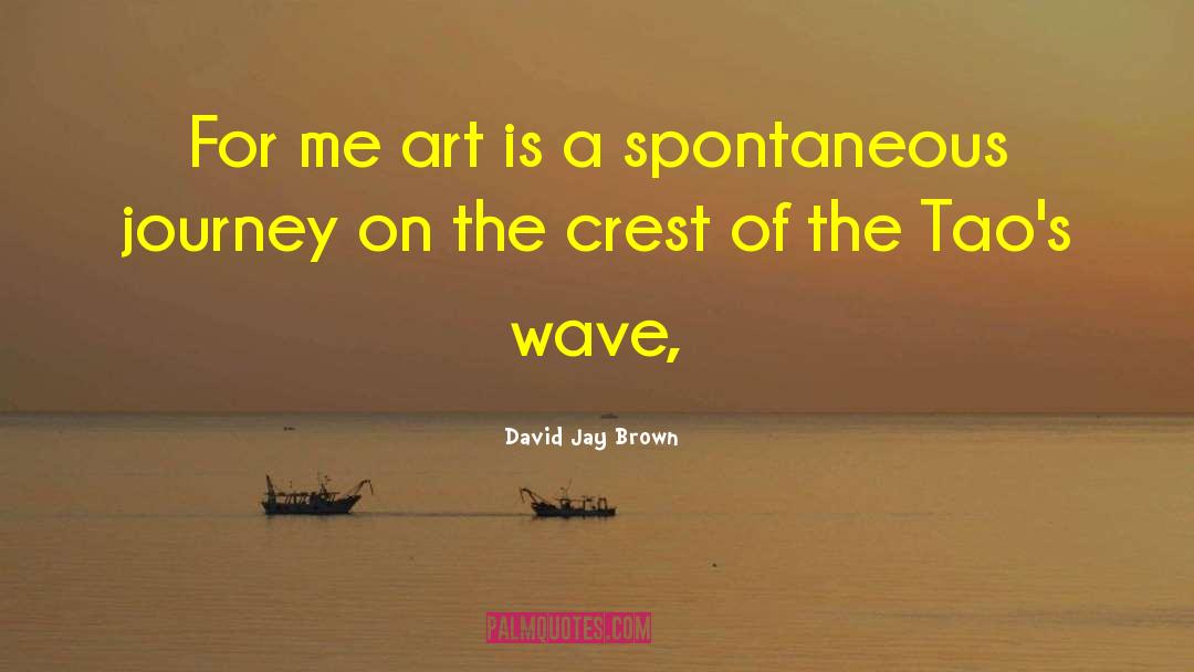 Spontaneous Comfort quotes by David Jay Brown
