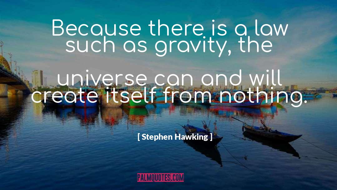 Spontaneous Generation quotes by Stephen Hawking