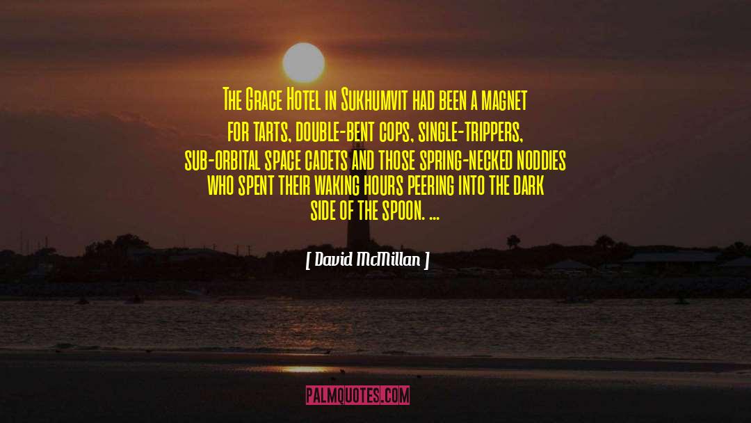 Spoon quotes by David McMillan