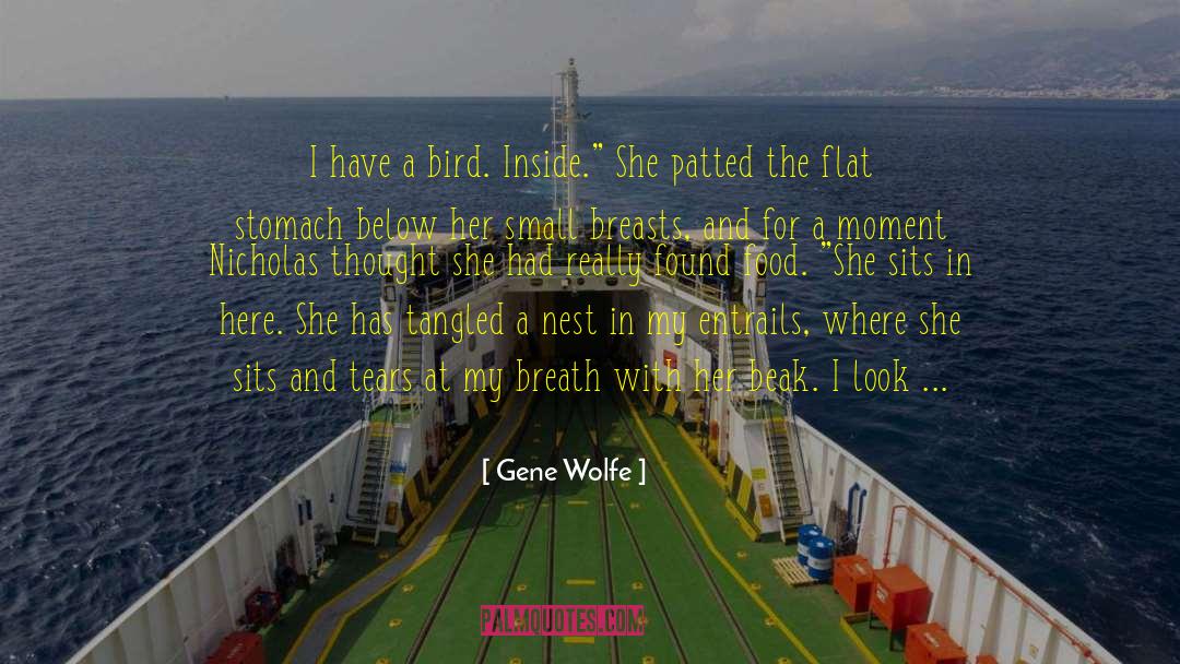 Spoonbill Beak quotes by Gene Wolfe