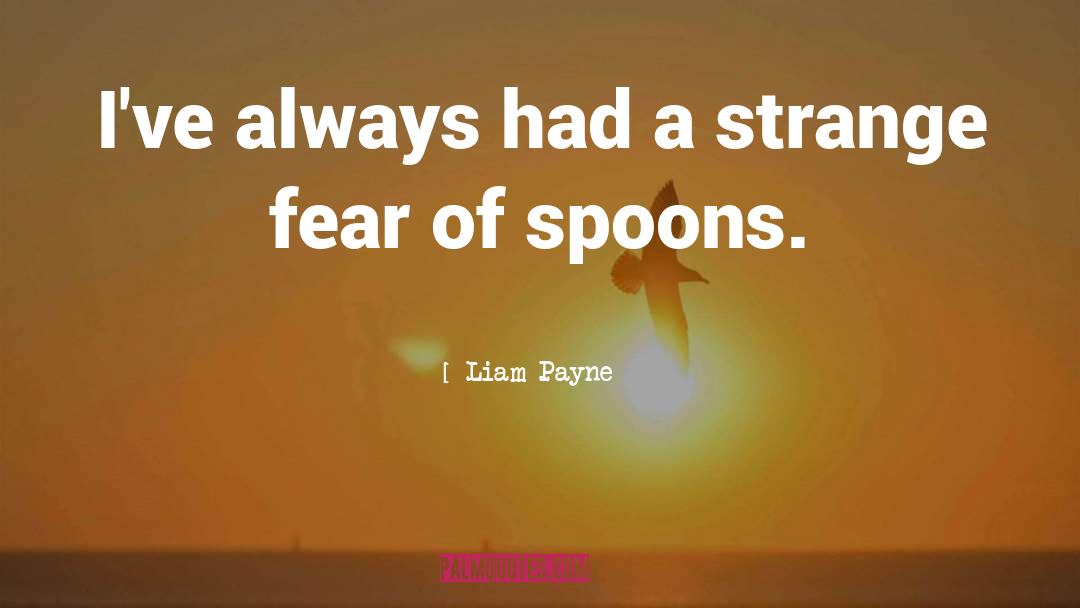 Spoons quotes by Liam Payne