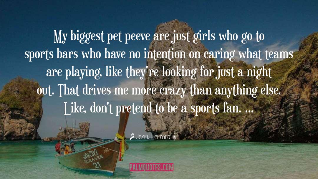 Sports Fan quotes by Jerry Ferrara