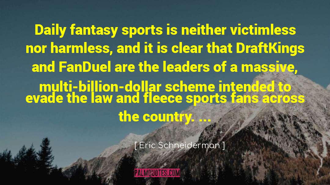 Sports Fans quotes by Eric Schneiderman