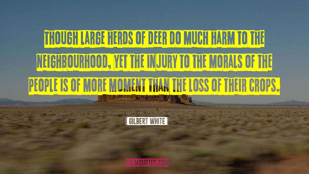 Sports Injury quotes by Gilbert White