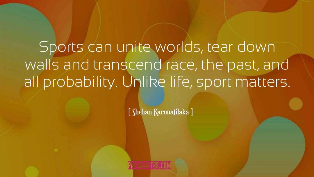 Sports Injury quotes by Shehan Karunatilaka