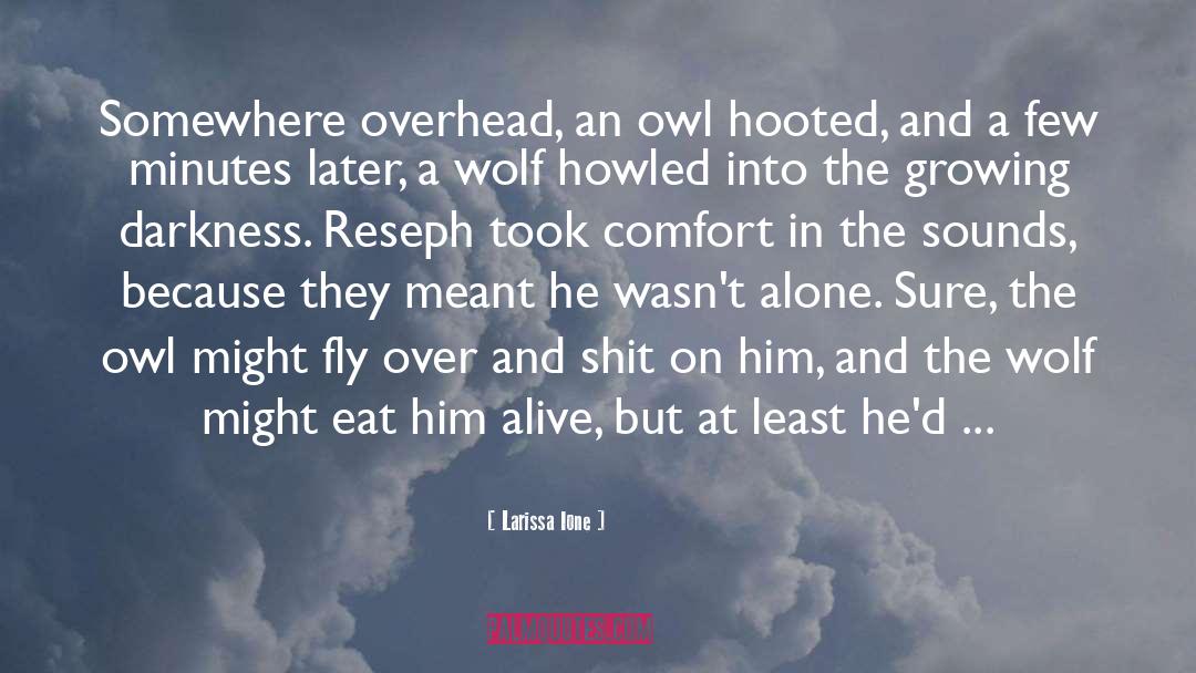 Spotten Owl quotes by Larissa Ione