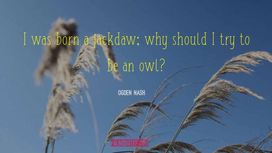 Spotten Owl quotes by Ogden Nash
